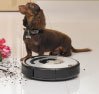 Robot Roomba® 564 PET